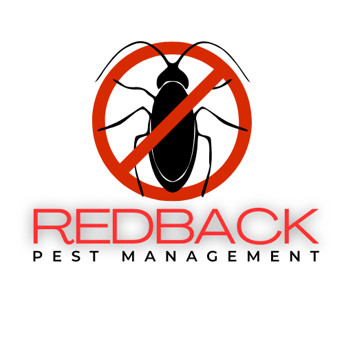 Redback Pest Management Townsville